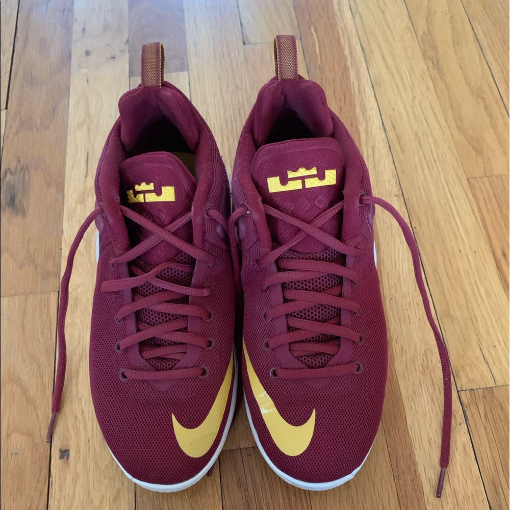 Lebron sneakers